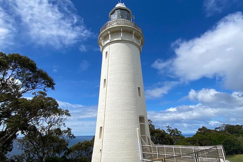 Table Cape Lighthouse Tours - Accommodation Redcliffe 4