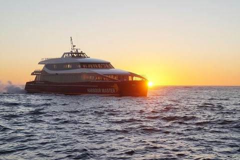 Afternoon Gordon River Dinner Cruise - Departing 3pm - Accommodation Redcliffe 0