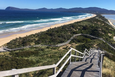 4-Day Fabulous Tasmania Tour: Wineglass Bay, Port Arthur, Devils & Bruny Island - Accommodation Redcliffe 3