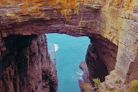 4-Day Fabulous Tasmania Tour: Wineglass Bay, Port Arthur, Devils & Bruny Island - Accommodation Redcliffe 6