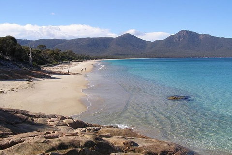 4-Day Fabulous Tasmania Tour: Wineglass Bay, Port Arthur, Devils & Bruny Island - Accommodation Redcliffe 10