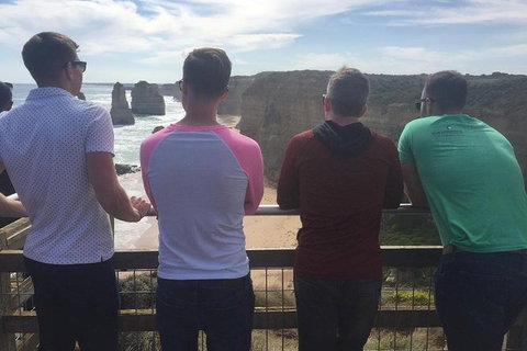 LGBT+ Friendly 12-Hour Great Ocean Road Private Tour - Accommodation Redcliffe 0