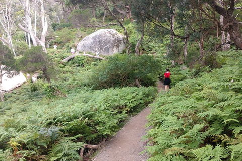 Wilsons Promontory Brainstorming Escape - Accommodation Redcliffe 2