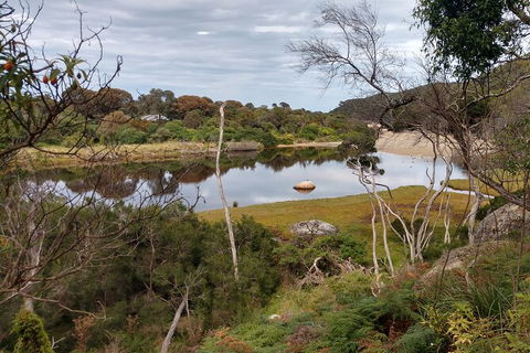 Wilsons Promontory Brainstorming Escape - Accommodation Redcliffe 9