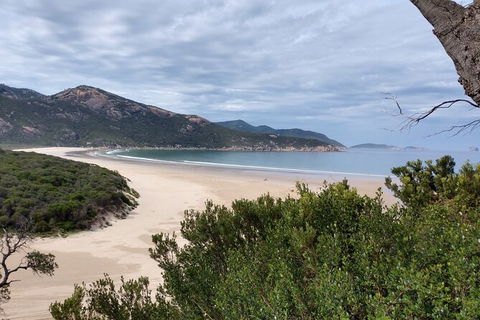 Wilsons Promontory Brainstorming Escape - Accommodation Redcliffe 1