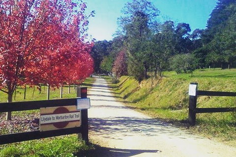 Aqueduct And Rail Trail Self-Guided Bike Tour In Warburton - Accommodation Redcliffe 4