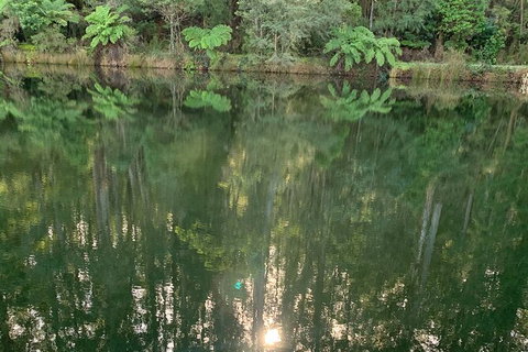 Hiking Tour To Aqueduct And Warburton Valley Lookout - Accommodation Redcliffe 2