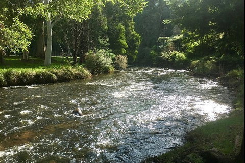 Watertube Experience In Yarra River - Accommodation Redcliffe 3