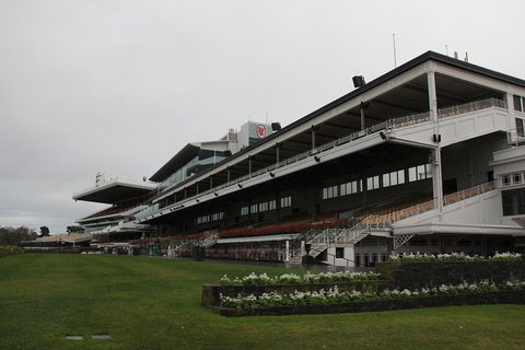 Ultimate Sports Lovers Bus Tour Of Melbourne - Accommodation Redcliffe 10