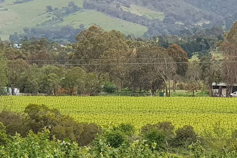 Day Tour Of Yarra Valley Puffing Billy And Rayners Orchard - Accommodation Redcliffe 44
