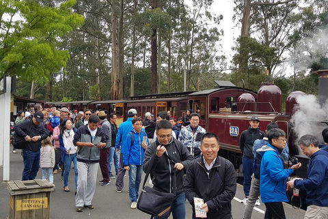 Day Tour Of Yarra Valley Puffing Billy And Rayners Orchard - Accommodation Redcliffe 3