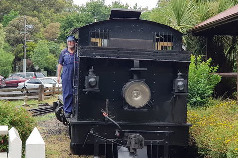 Day Tour Of Yarra Valley Puffing Billy And Rayners Orchard - Accommodation Redcliffe 11