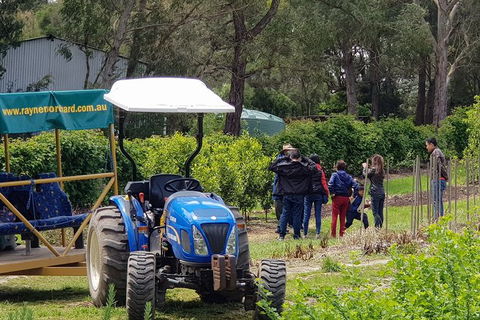 Day Tour Of Yarra Valley Puffing Billy And Rayners Orchard - Accommodation Redcliffe 10
