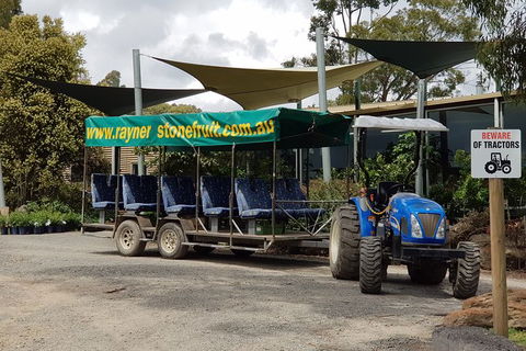 Day Tour Of Yarra Valley Puffing Billy And Rayners Orchard - Accommodation Redcliffe 17