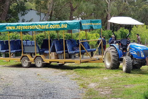 Day Tour Of Yarra Valley Puffing Billy And Rayners Orchard - Accommodation Redcliffe 48