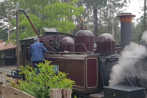 Day Tour Of Yarra Valley Puffing Billy And Rayners Orchard - Accommodation Redcliffe 5