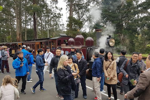 Day Tour Of Yarra Valley Puffing Billy And Rayners Orchard - Accommodation Redcliffe 18