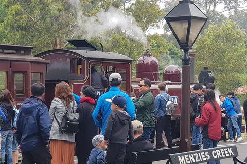 Day Tour Of Yarra Valley Puffing Billy And Rayners Orchard - Accommodation Redcliffe 40