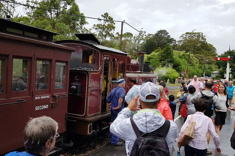 Day Tour Of Yarra Valley Puffing Billy And Rayners Orchard - Accommodation Redcliffe 23