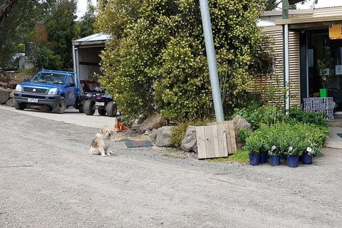 Day Tour Of Yarra Valley Puffing Billy And Rayners Orchard - Accommodation Redcliffe 6
