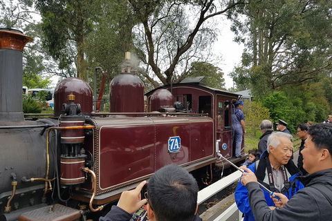 Day Tour Of Yarra Valley Puffing Billy And Rayners Orchard - Accommodation Redcliffe 28
