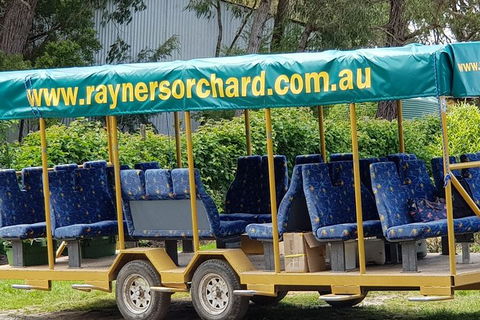 Day Tour Of Yarra Valley Puffing Billy And Rayners Orchard - Accommodation Redcliffe 33