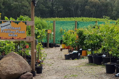 Day Tour Of Yarra Valley Puffing Billy And Rayners Orchard - Accommodation Redcliffe 22