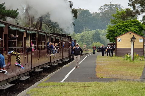 Day Tour Of Yarra Valley Puffing Billy And Rayners Orchard - Accommodation Redcliffe 0