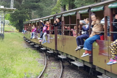 Day Tour Of Yarra Valley Puffing Billy And Rayners Orchard - Accommodation Redcliffe 13