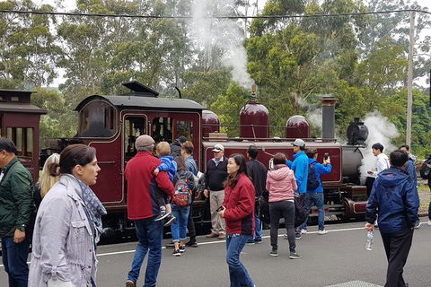 Day Tour Of Yarra Valley Puffing Billy And Rayners Orchard - Accommodation Redcliffe 4