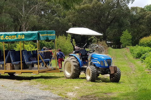 Day Tour Of Yarra Valley Puffing Billy And Rayners Orchard - Accommodation Redcliffe 25