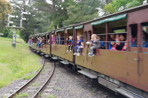 Day Tour Of Yarra Valley Puffing Billy And Rayners Orchard - Accommodation Redcliffe 24