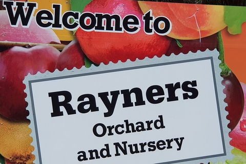 Day Tour Of Yarra Valley Puffing Billy And Rayners Orchard - Accommodation Redcliffe 20