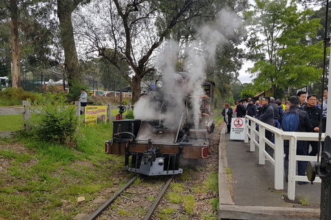 Day Tour Of Yarra Valley Puffing Billy And Rayners Orchard - Accommodation Redcliffe 43