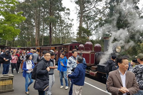 Day Tour Of Yarra Valley Puffing Billy And Rayners Orchard - Accommodation Redcliffe 12