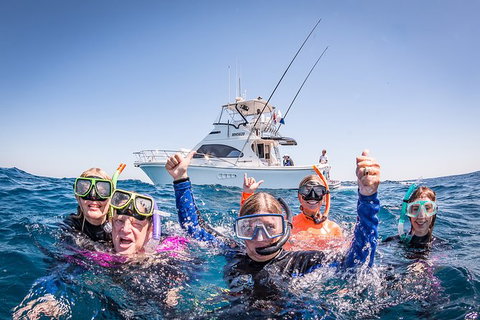 Life On Ningaloo Swimming Tour In Exmouth - Accommodation Redcliffe 4