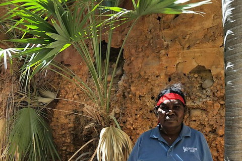 2 Nights At Bungles Wilderness Lodge - Explore The Northern & Southern Gorge - Accommodation Redcliffe 1