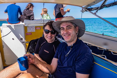 Ningaloo Immersion Private Charter - Accommodation Redcliffe 7