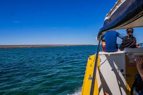 Ningaloo Immersion Private Charter - Accommodation Redcliffe 0
