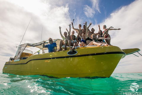 Ningaloo Immersion Private Charter - Accommodation Redcliffe 9