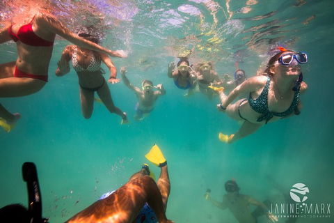 Ningaloo Immersion Private Charter - Accommodation Redcliffe 8