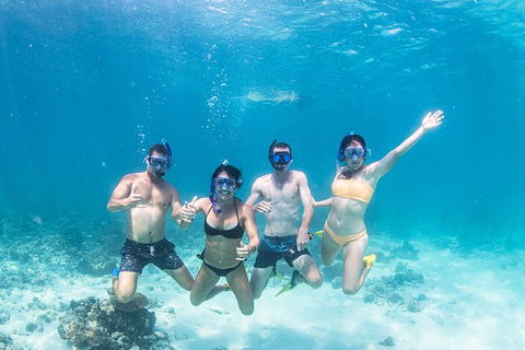 Full-Day Whale Sharks Swimming Experience On Ningaloo Reef - Accommodation Redcliffe 5