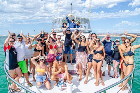 Full-Day Whale Sharks Swimming Experience On Ningaloo Reef - Accommodation Redcliffe 1