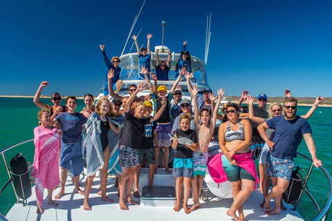 Full-Day Whale Sharks Swimming Experience On Ningaloo Reef - Accommodation Redcliffe 15