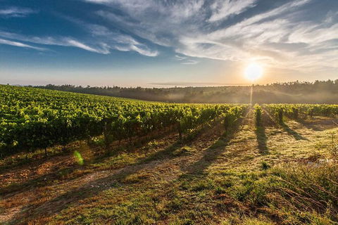 Perth To Margaret River Wine Tour - 2 Day Premium Boutique Wine Tour Experience - Accommodation Redcliffe 0