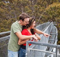 Valley of the Giants Tree Top Walk - Accommodation Redcliffe