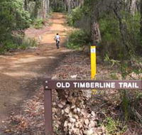 Old Timberline and Sidings Rail Trails - Accommodation Redcliffe