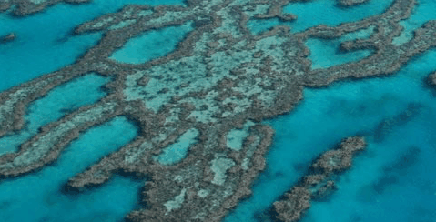 Abel Point Marina - Accommodation Redcliffe 4