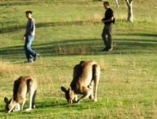 Southern Queensland Country QLD Accommodation Redcliffe