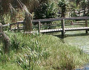 Australia Fraser Island Escape - Accommodation Redcliffe 1